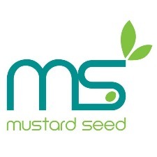 Mustard Seed